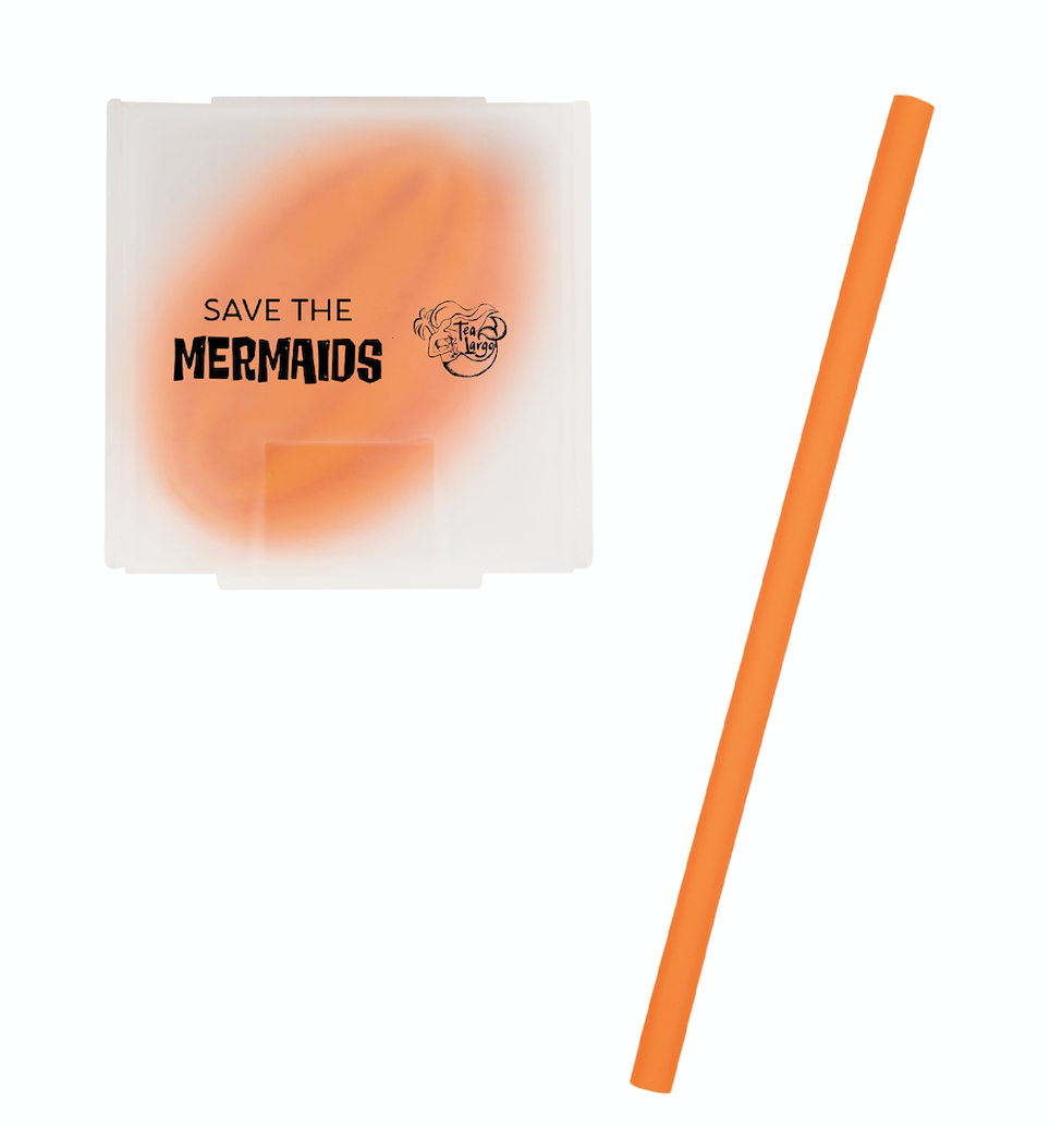 Reusable Green Straw in Mini Logo Box